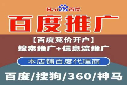 创新SEM推广优化：企业成功案例剖析